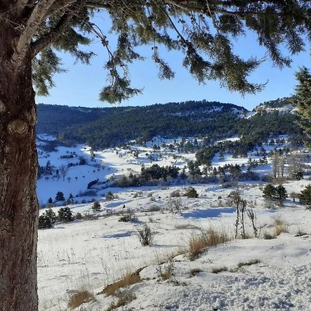 Apartamento Solano - Virgen De La Vega - Alcala Ideal Montana Y Relax Teruel Extérieur photo